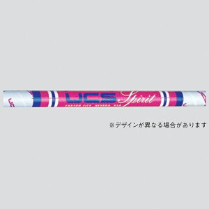 棒高跳び スピリットポール 15ft 165pt