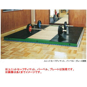 jVX|[c vbgtH[ T3246 iWj3000×iLj3000×iHj100mm