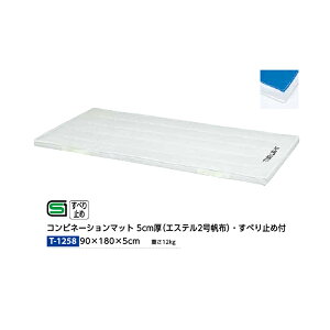 �g�[�G�C���C�g 90×180×5cm T1258