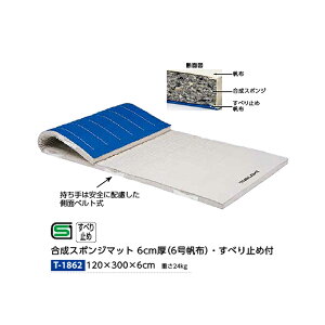 g[GCCg X|W}bg 6cm 6zEׂ~ߕt 120×300×6cm T1862