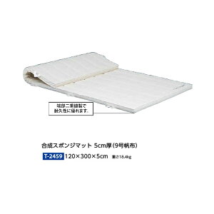 g[GCCg X|W}bg 5cm 9z 120×300×5cm T2459