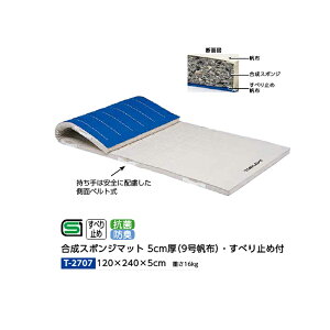 g[GCCg X|W}bg 5cm R9zEׂ~ߕt 120×240×5cm T2707