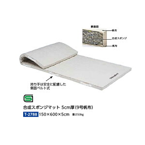 g[GCCg X|W}bg 5cm 9z 150×600×5cm T2788