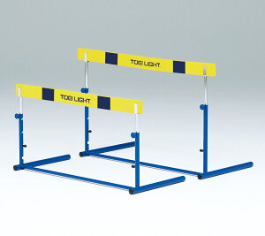 g[GCCg n[hNb`EVA1 G1176