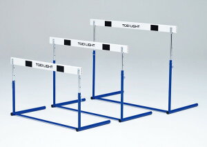 g[GCCg n[hsABS1 G1306