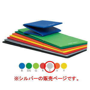 �g�[�G�C���C�g �G�N�T�T�C�Y�}�b�gF180DX �V���o�[ H7478S