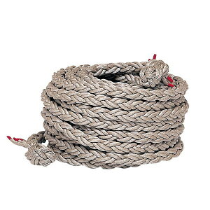 g[GCCg j[vCR36 B2009 1mP