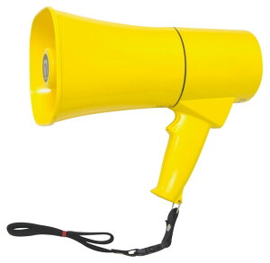 g[GCCg gTS631 B2413