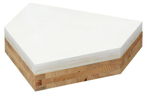 g[GCCg ؑtz[x[X100 B2693