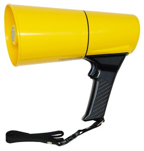 g[GCCg gTD501Y  B2776