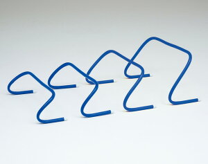 g[GCCg tLVun[h30 G1955