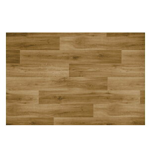 X~mG sANbN 55 ؖڒ OWA[rj^C 1326×204mm 5mm 8 CI[N