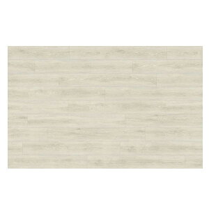 X~mG sANbN 55 ؖڒ OWA[rj^C 1326×204mm 5mm 8 gD[I[N
