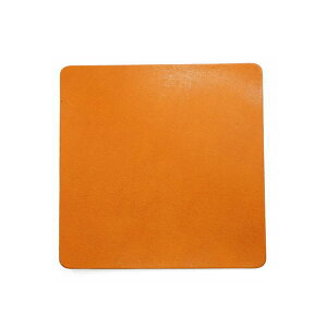 Ȗ؃U[ lp`R[X^[ ot-018