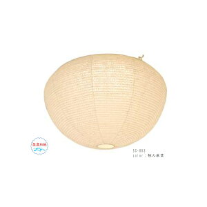 ʌfUC a LEDV[OCg 12 meteo ɂݖt SC-003