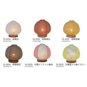 ʌfUC aƖ M~jX^h SS-3020 eF dt