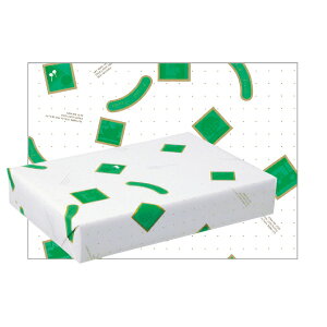  V[}FO[ FC4007 R[g 748×530 300