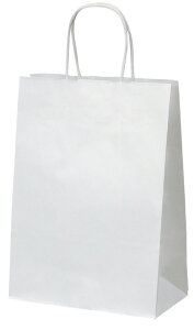 t 񂰑 340404 HA-4 ЃcW 260×100×330 200