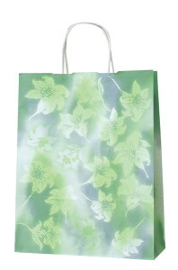 ��t ��񂰑� 340428 HA-4 ��� 260×100×330 200��