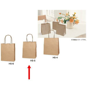 ��t ��񂰑� 348501 HS-5 ���N���W 180×120×220 400��