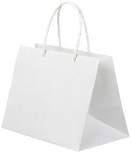  񂰑 371101 tbg L-26 260×160×200 100