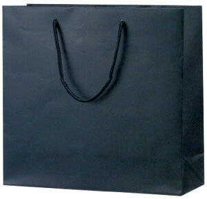 �������̂��� ��񂰑� �V���b�s���O�o�b�O 383856 �}�b�g�E�u���b�N M 320×110×300 50��