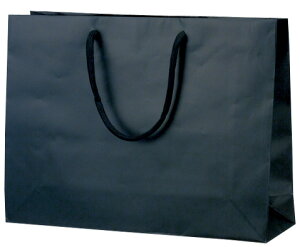 ̂ 񂰑 VbsOobO 383858 }bgEubN Y-45 450×120×330 50