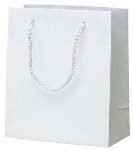  񂰑 383874 }bgEzCg S-22 220×120×260 50