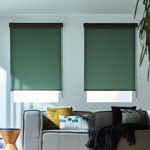 �^�`�J�� ���[���X�N���[�� �����N�V�[���h ���C�t �E�H�b�V���u�� RS-1151�`RS-1174 ��250�`490mm ����1610�`2000mm