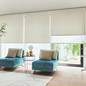 �^�`�J�� ���[���X�N���[�� �����N�V�[���h �V���C�j�[�ՔM �E�H�b�V���u�� RS-1277�`RS-1281 ��1205�`1600mm ����500 �`800mm