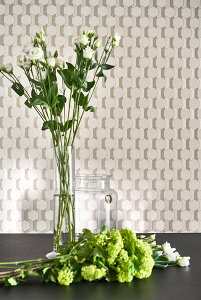�e�V�[�h �A���ǎ� CASADECO (�t�����X) 53cm×10m�� DERB89309016