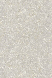 �e�V�[�h �A���ǎ� CASADECO (�t�����X) 53cm×10m�� MNRL88089202