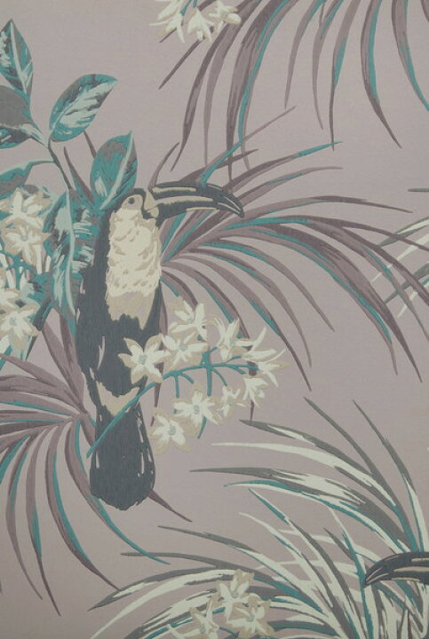 楽天市場】テシード 輸入壁紙 1838WALLCOVERINGS (イギリス) 52cm×10m 
