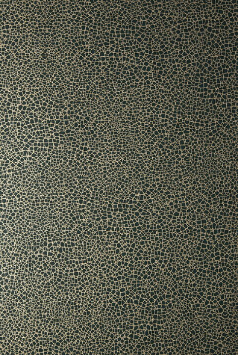 楽天市場】テシード 輸入壁紙 1838WALLCOVERINGS (イギリス) 52cm×10m 
