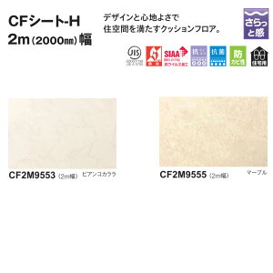 NbVtA CFV[gH CF2M9553^CF2M9555 2mi2000mmj 1.8mm 10cm