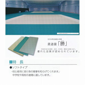 KLASS 極東産機 柔道畳 勝 ソフトタイプ ヘリ無し 樹脂表 五八間 TB11050