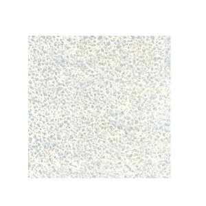 [V[g Ȃ莅藎 K-114 0.3mm 930×2150mm 1