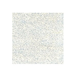 [v[g 藎 KV114 1mm 930×1850mm 1 hFi