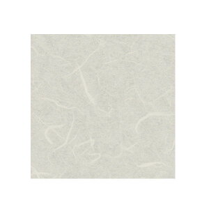 AN[ Ȃ_ i^Cvj PN-80 2mm 1000×2000mm 1