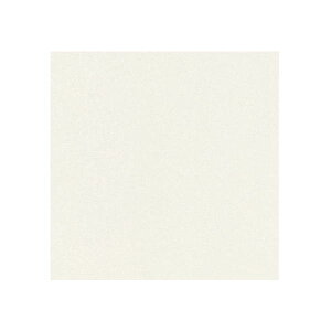 ���[�����v���[�g �W�ʐ��Ȃ� V61 1mm�� 930×1850mm 1�� �h���F��i