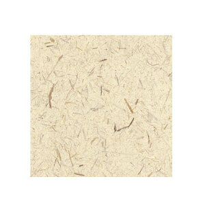 [V[g XT K-107 0.3mm 606×930mm 1