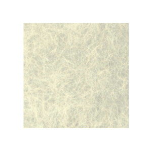 [V[g a K-110 0.3mm 606×930mm 1