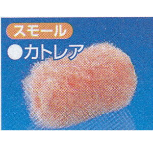 DY X[[[ JgA я10mm TCY2C` 022432