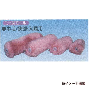 好川産業 ミニスモールローラー 中毛 サイズ4インチ 2本入 022482