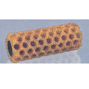 DY l^No[[ 匊 9C` 024142