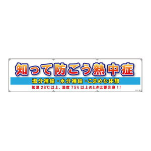 �O�� ���f�� �u�h�����M���ǁv SA-N15-38 1��