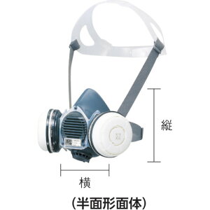 d쏊 hŃ}XNGM81S (M) 1
