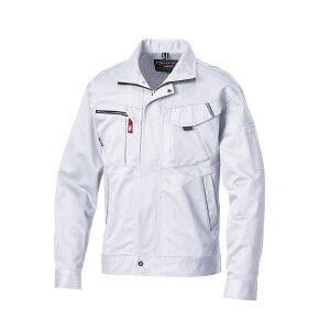 �O�� AW�V�[�Y�������W�����p�[ JA2301 �V���o�[���C�g LL 1��