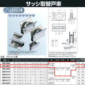 Rdi TbV֌ˎ XeX 81/2 ABS-0851