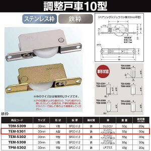 Rdi ˎ 10^ Sg BRGWR 30  TEM-S301